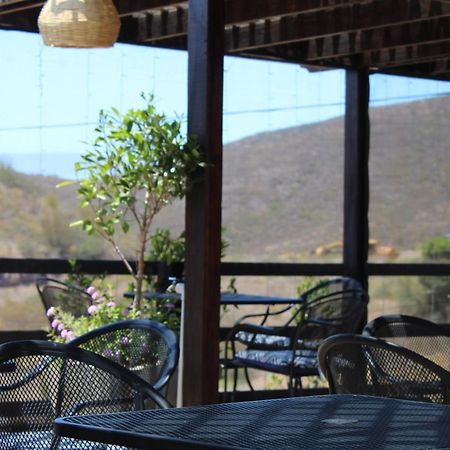 Vinas Del Castillo Ensenada Ngoại thất bức ảnh