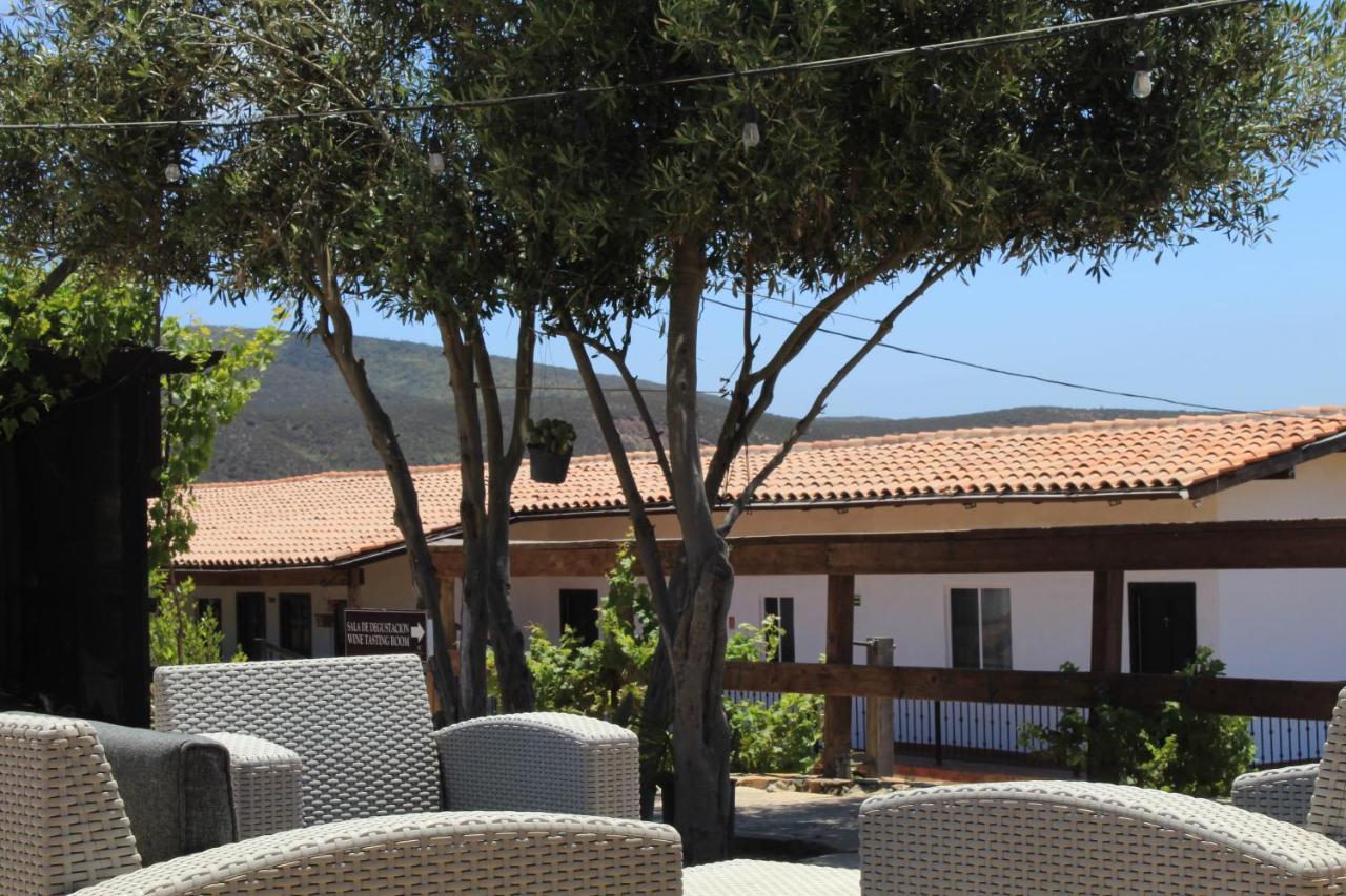 Vinas Del Castillo Ensenada Ngoại thất bức ảnh