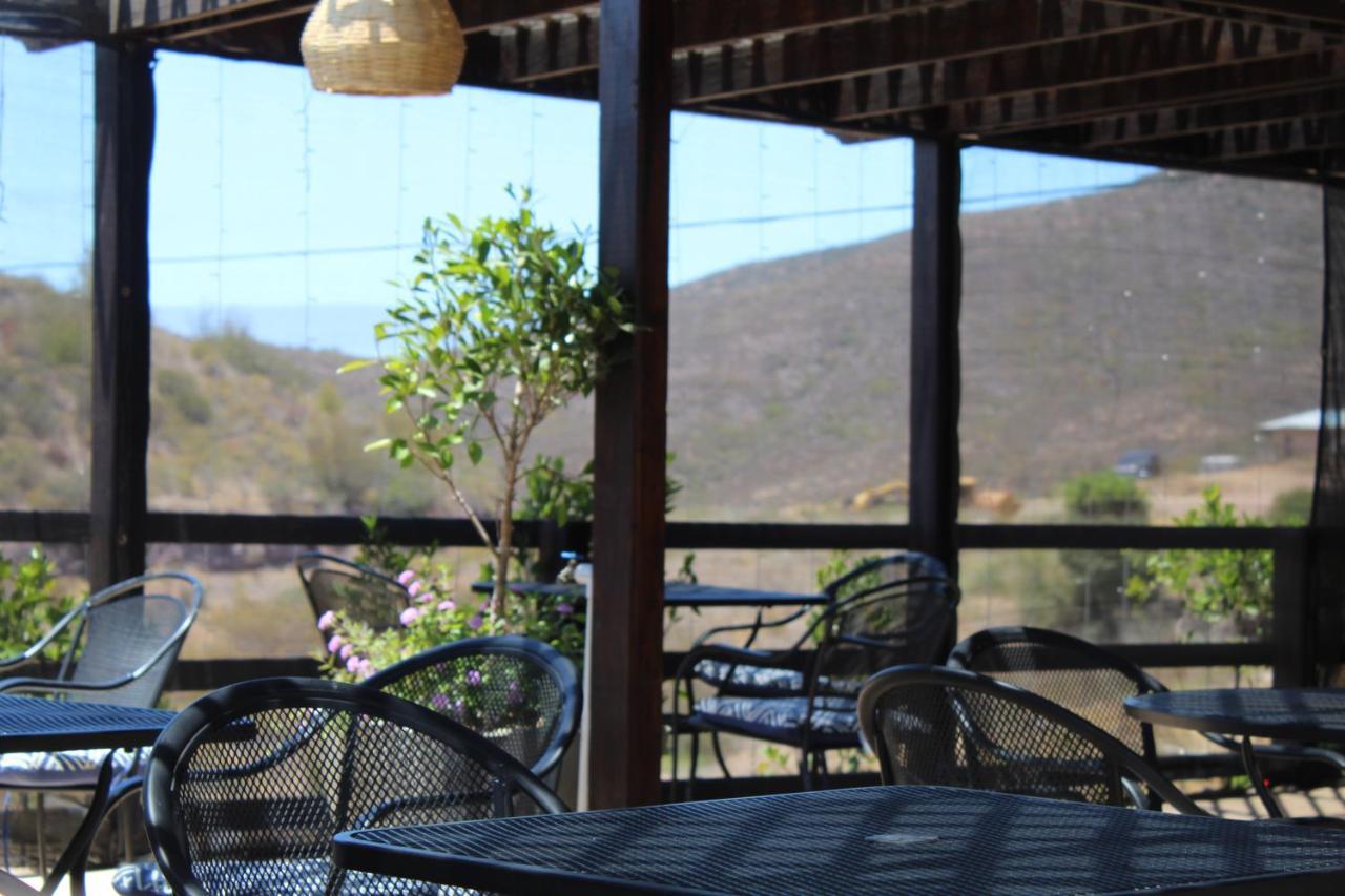 Vinas Del Castillo Ensenada Ngoại thất bức ảnh
