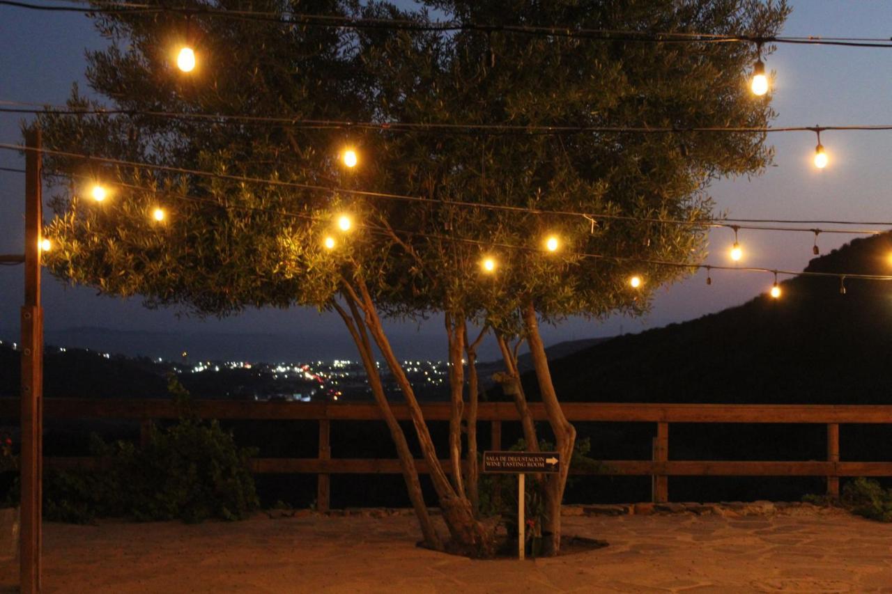 Vinas Del Castillo Ensenada Ngoại thất bức ảnh