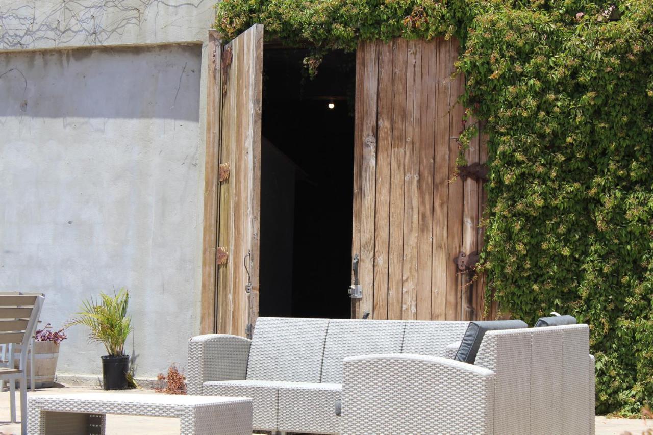 Vinas Del Castillo Ensenada Ngoại thất bức ảnh